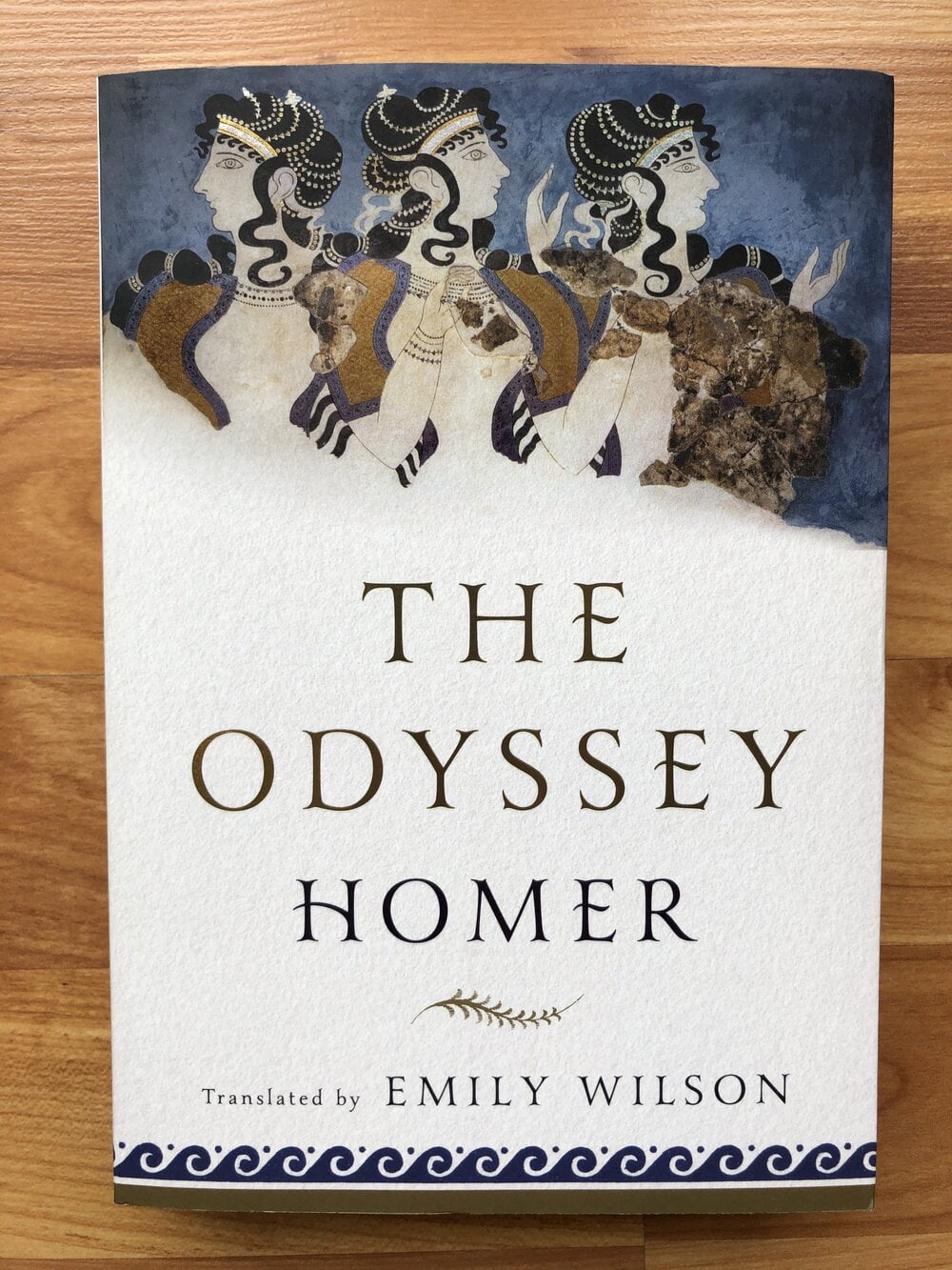 The Odyssey (Emily Wilson's translation) by Homer***** — Laura Gonzalez